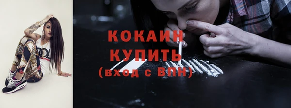 прущие грибы Беломорск