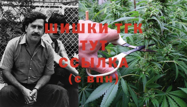 метадон Белокуриха