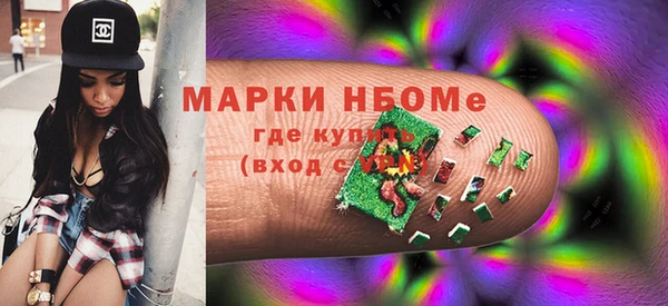прущие грибы Беломорск